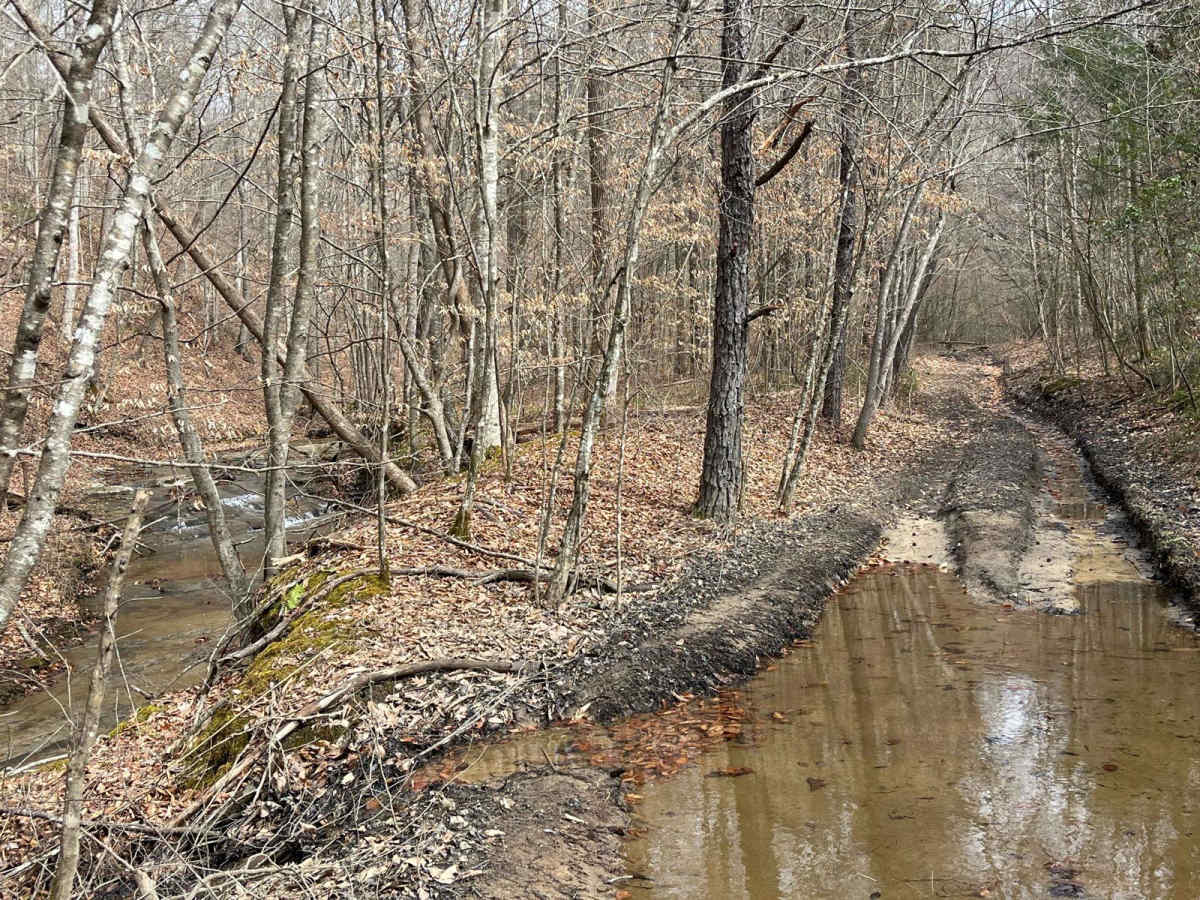 Trail 20 Wash Branch photo 4