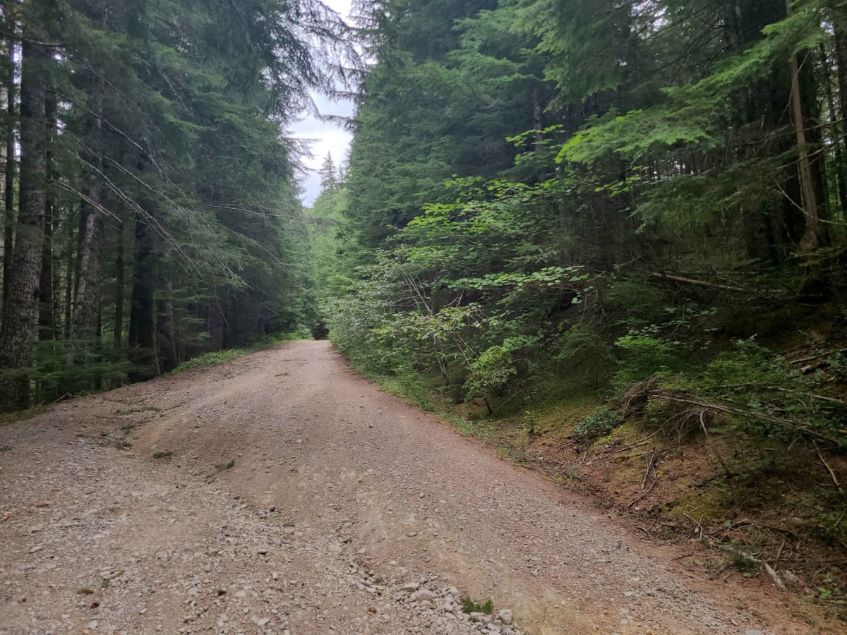 Creek Gravel Grumbler Road photo 3