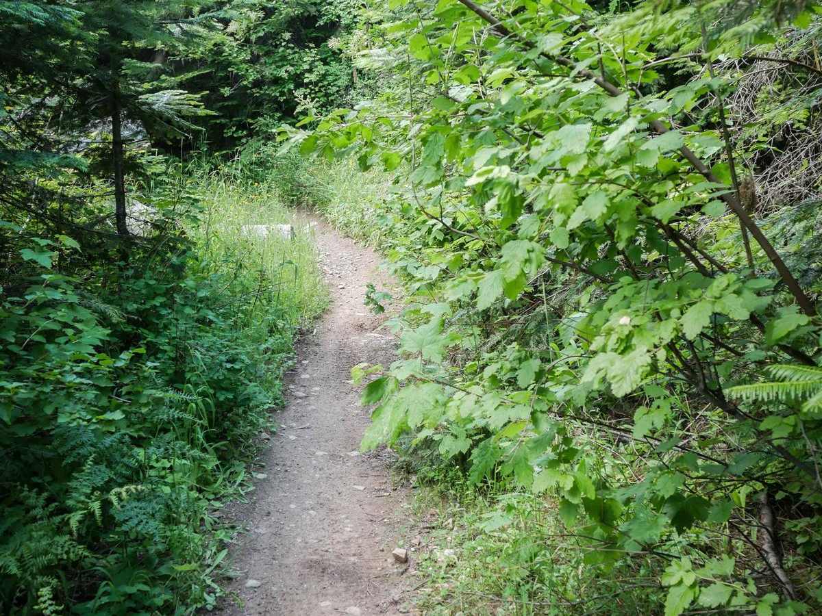 Canfield Mountain - Trail B photo 3