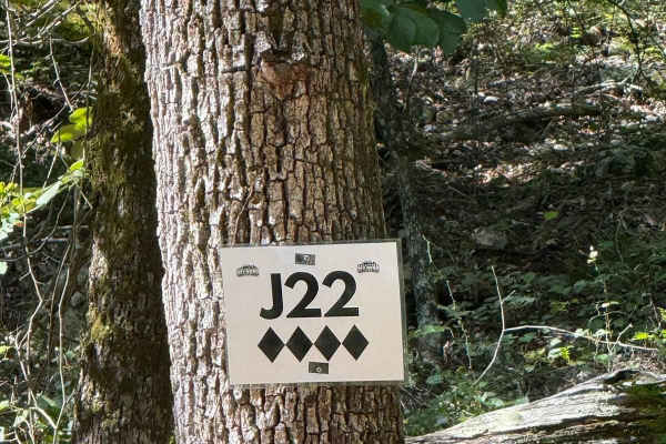 J22