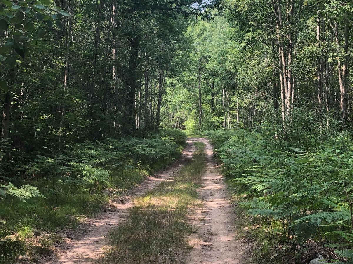 Carpenter Road Loop photo 5