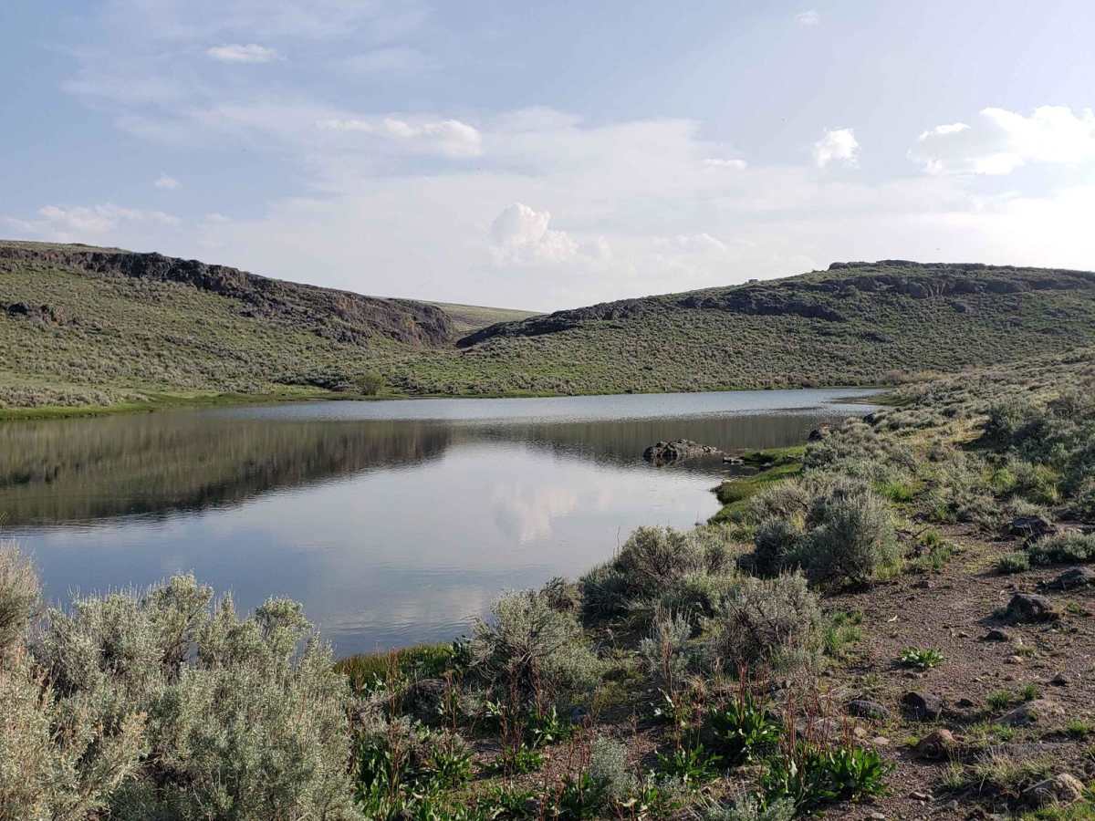 Jeff's Reservoir trail photo