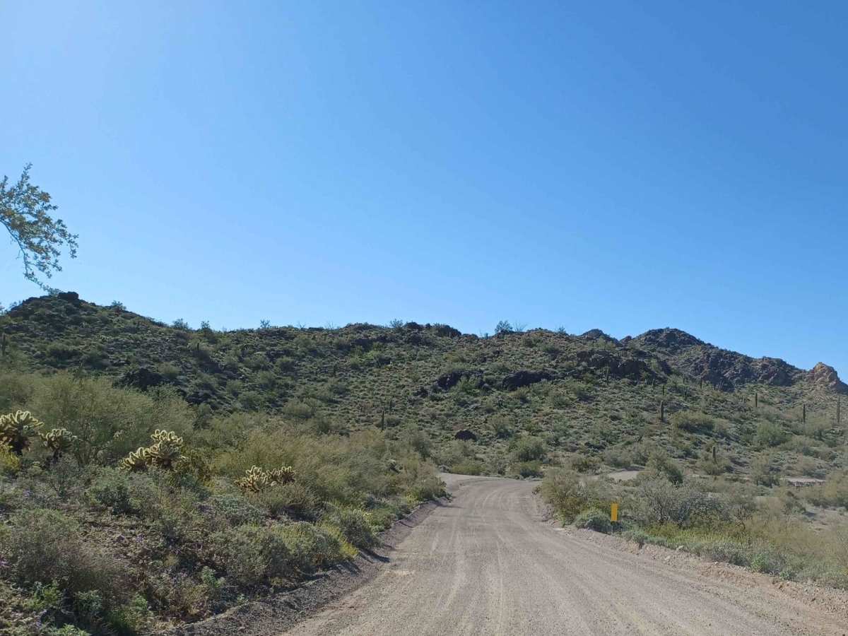 Scenic Loop photo 4