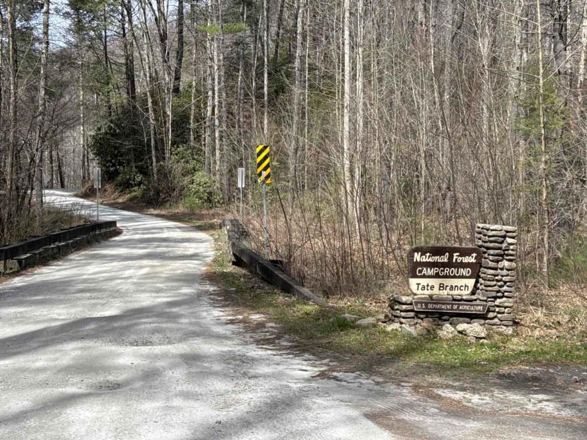 Tallulah River  Trail - FR 70 photo 3