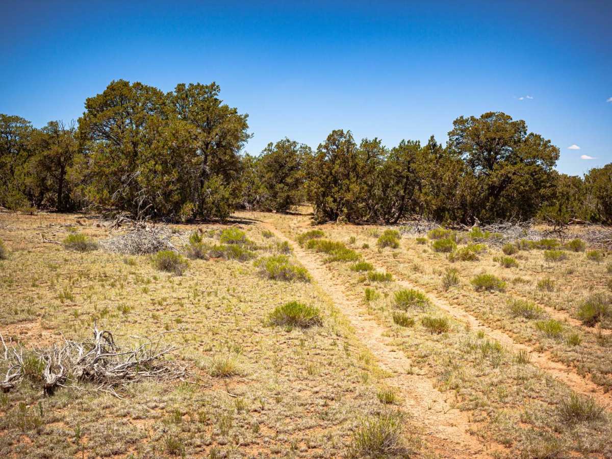 Surrounding Smoot - FR2018 photo 6