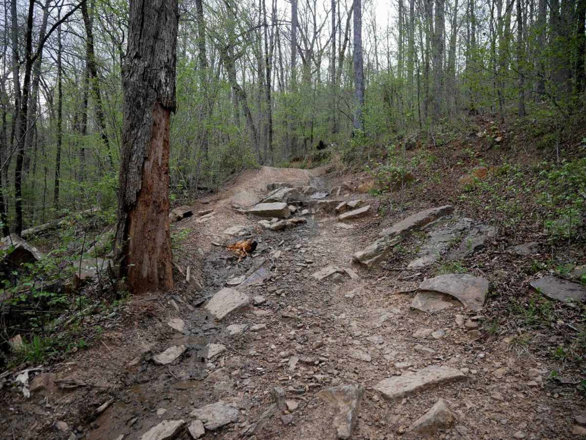 Gap Hollow Loop photo 5