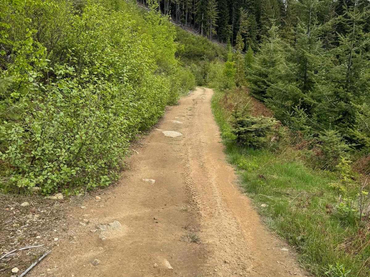 Elk-Morris Connection trail photo