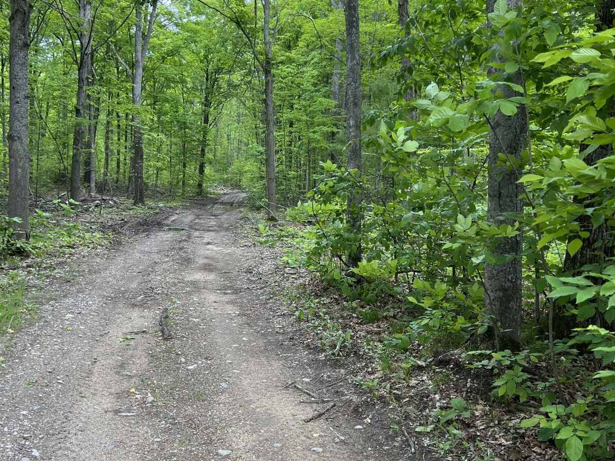CR 489 to Avery Lake photo 2