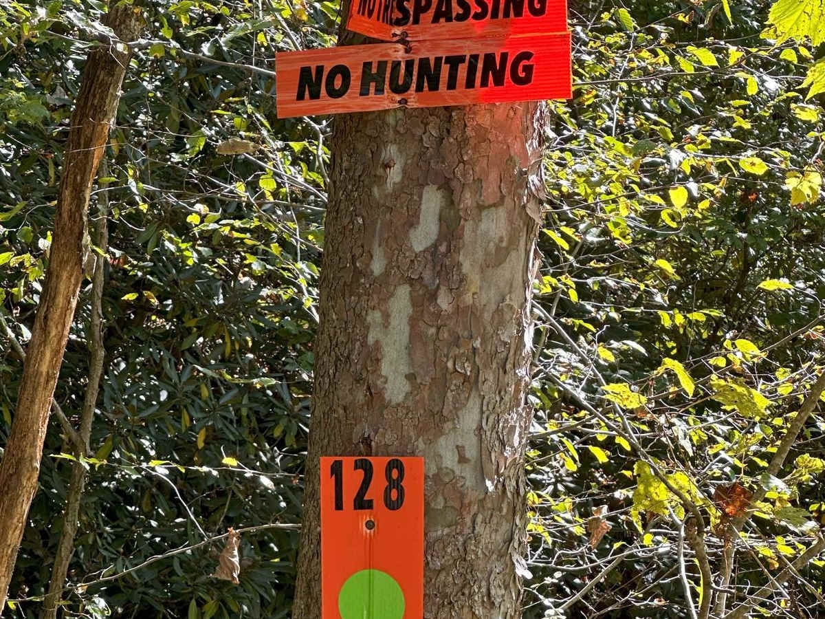 128 trail photo