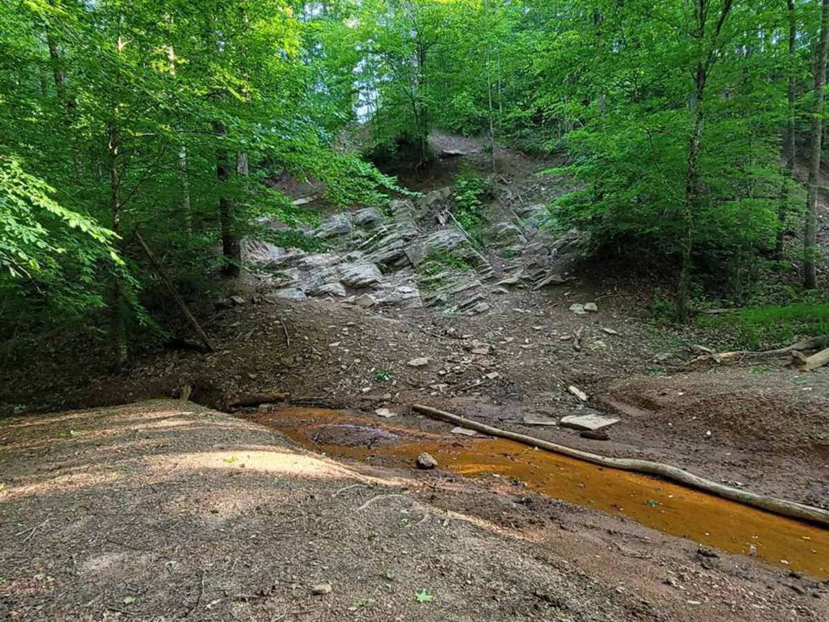 Loop Springs photo 2