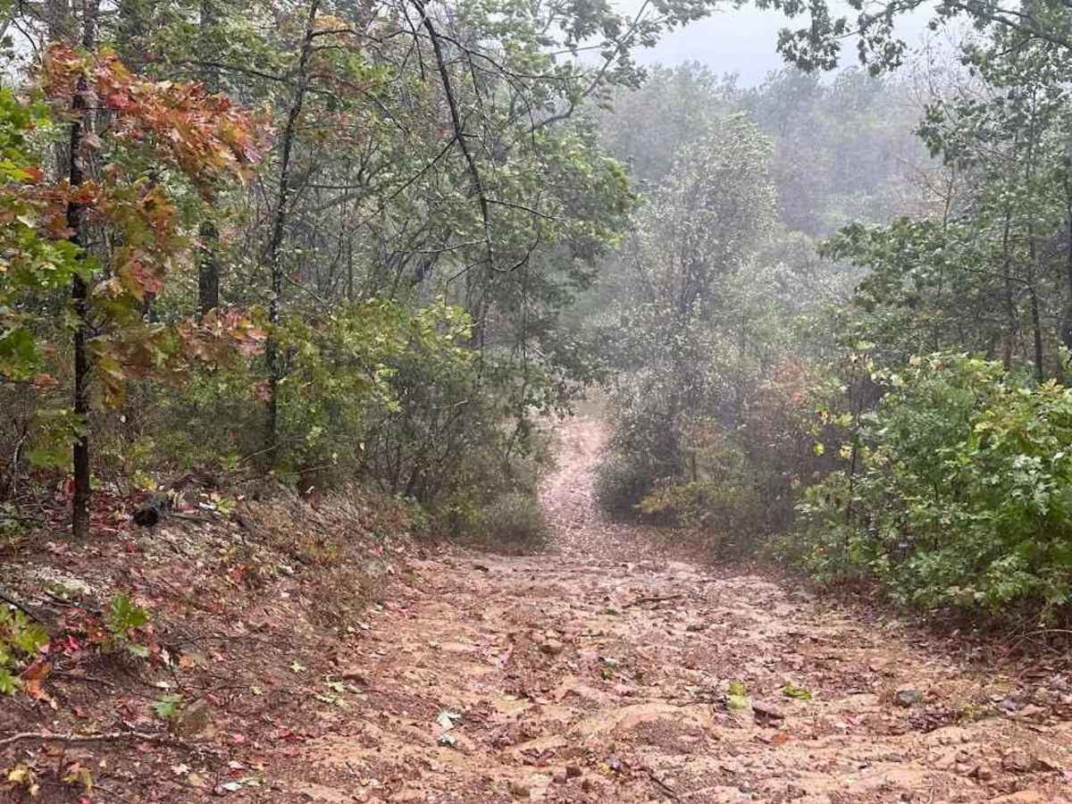 79 Black trail photo