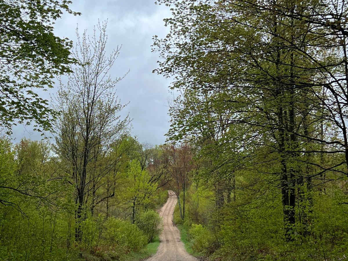 15 Trail photo 5