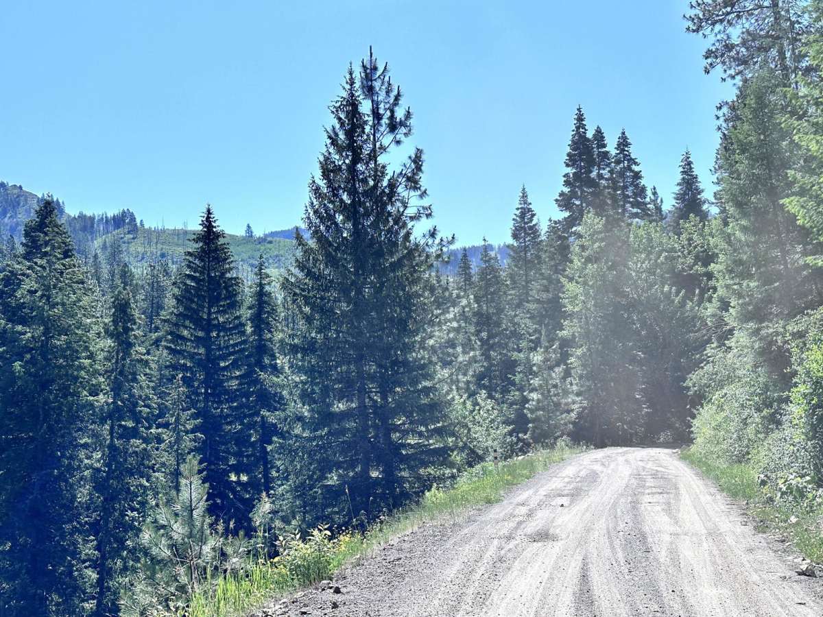East Fork Weiser photo 3