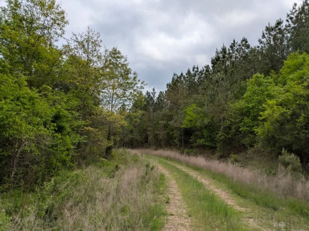 51707 photo 5