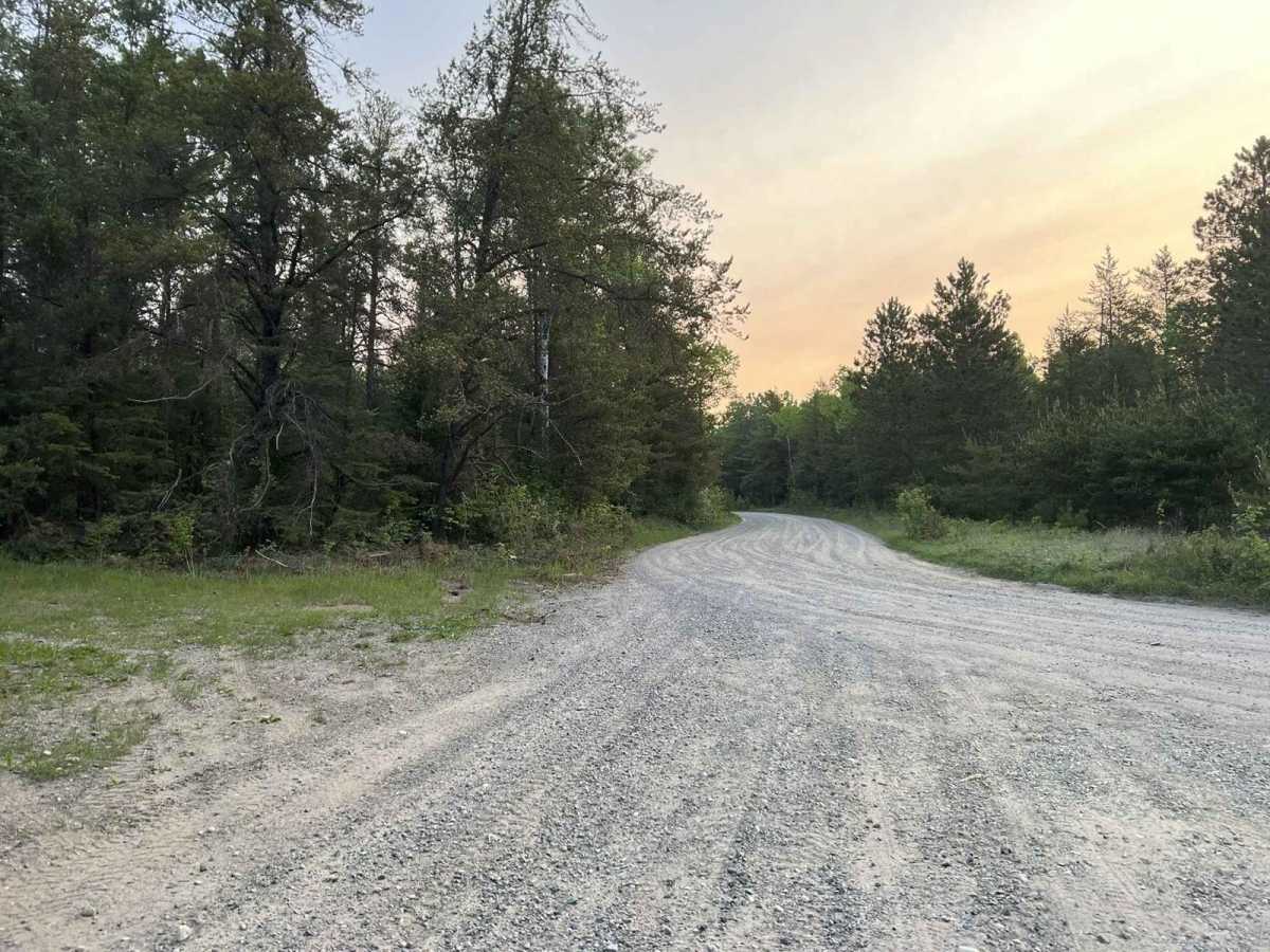 Lyons Lake Road photo 2