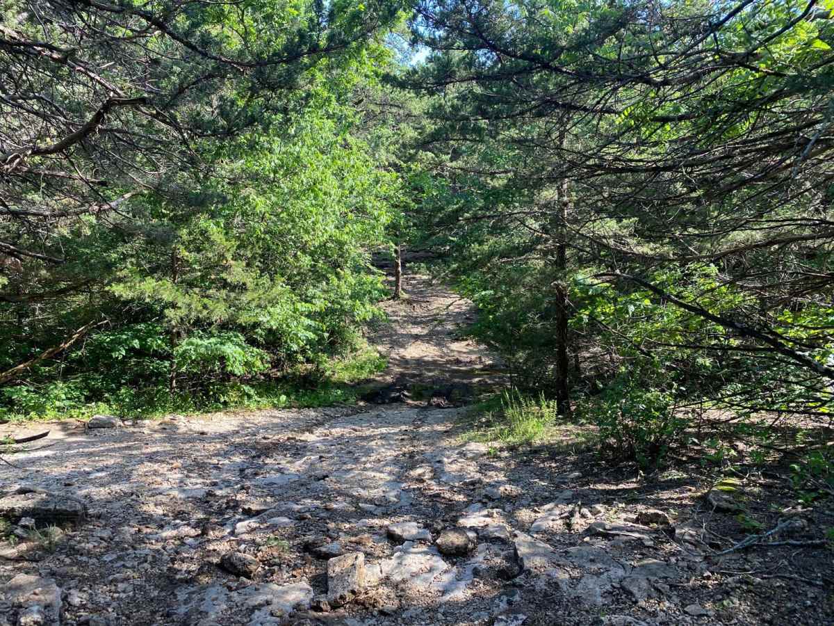 Big Dump trail photo