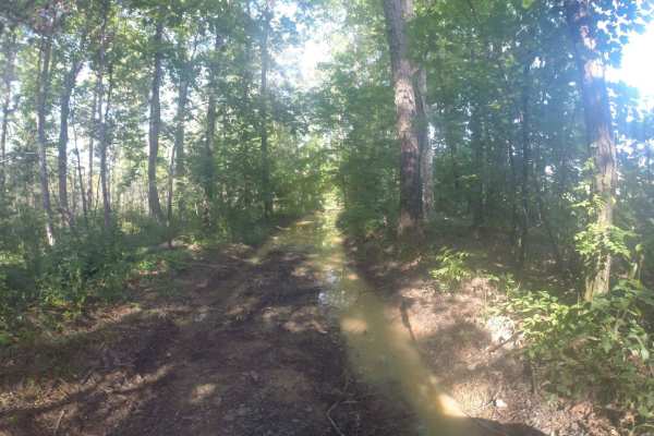Manning Mill Spur - Forest Road 227A