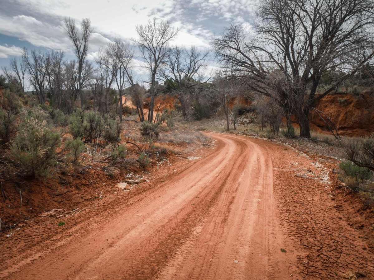 Whisker Draw South trail photo