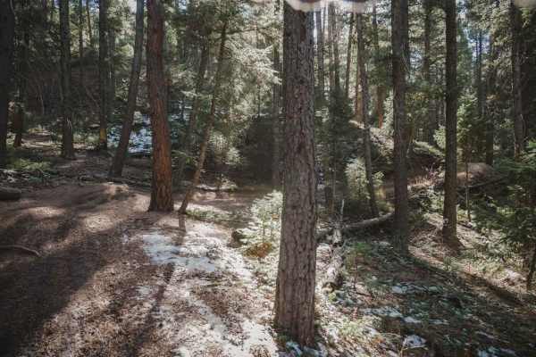 788 ATV Trail