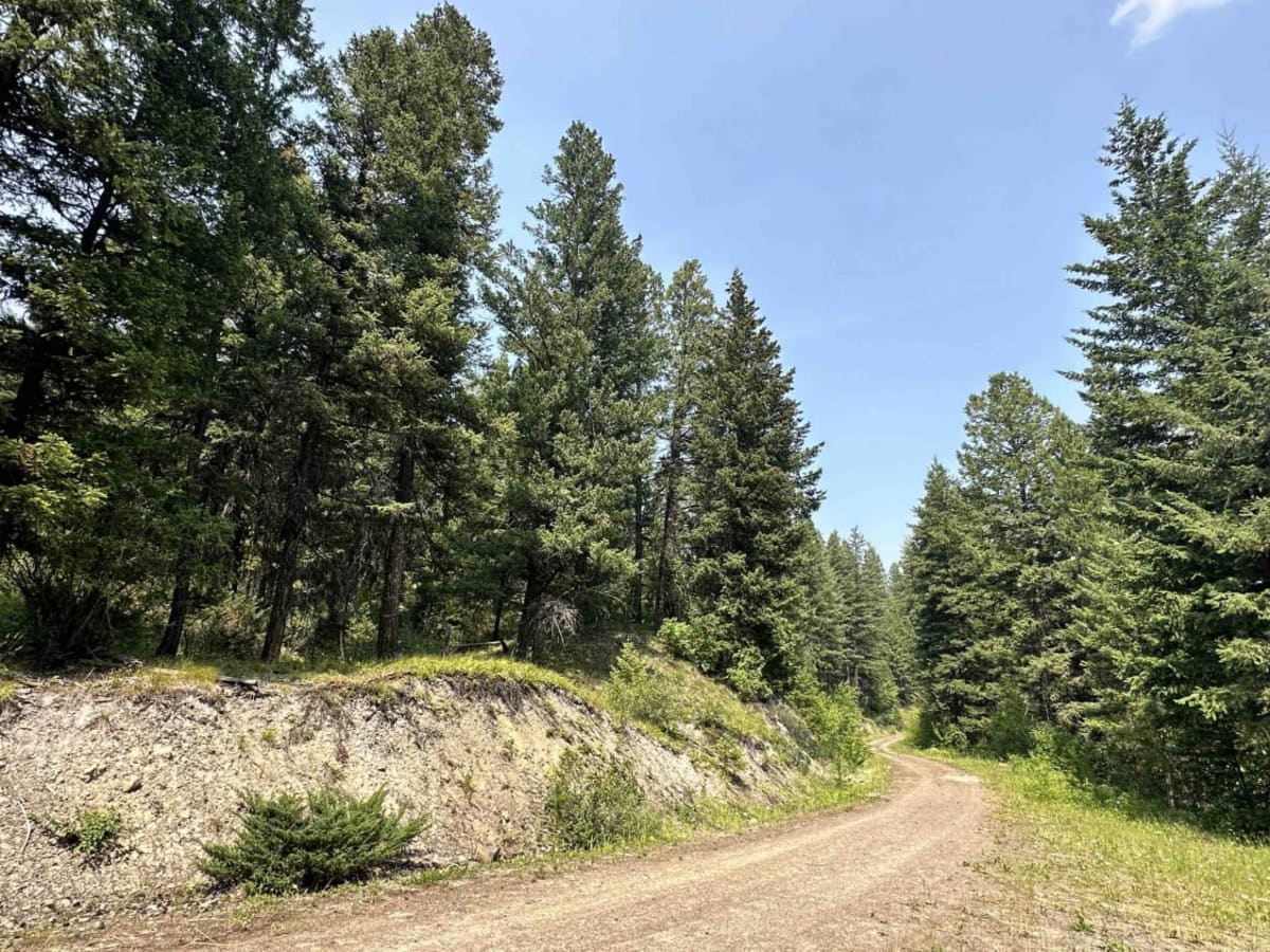 Chase Creek FSR photo 4