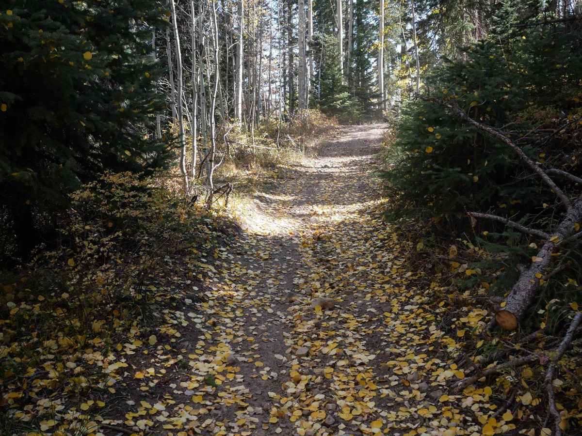 Dry Creek ATV Spur photo 3