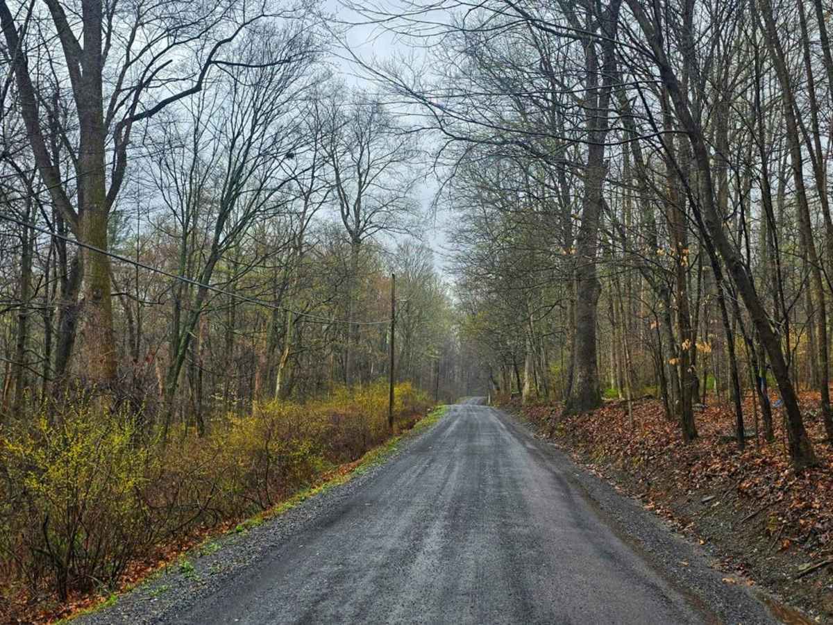 Laurel Run Road photo 2