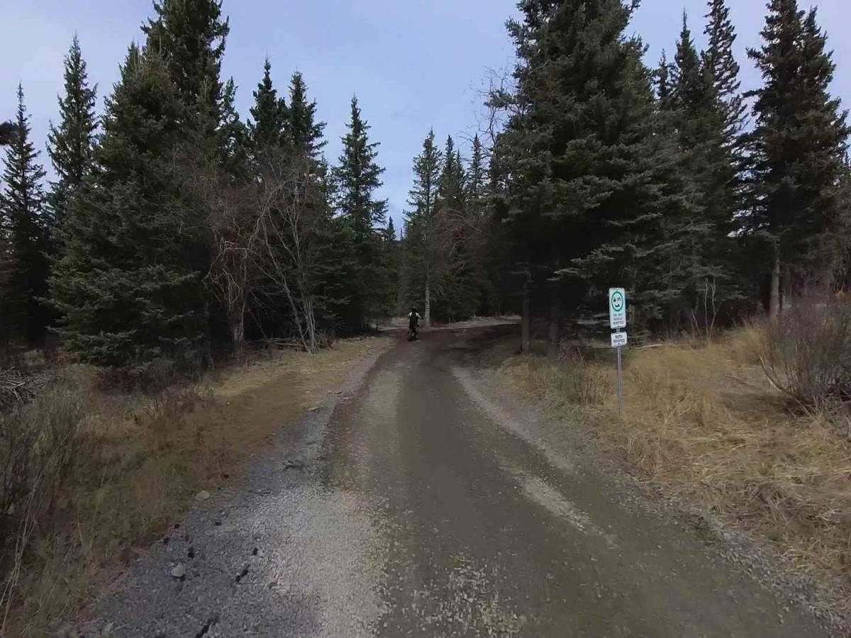 Nordegg Rail Trail photo 6