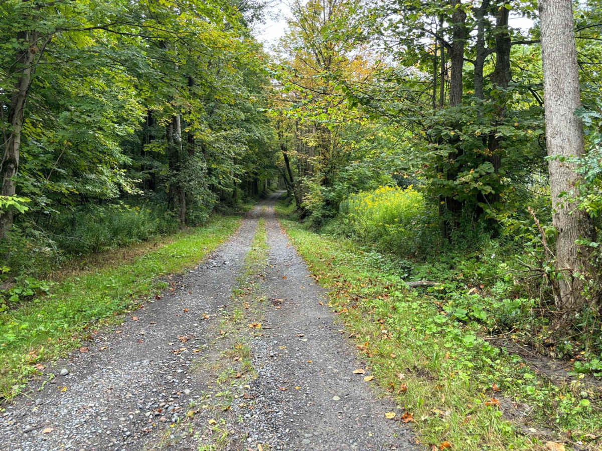 Tioughnioga Wildlife Management Area photo 4