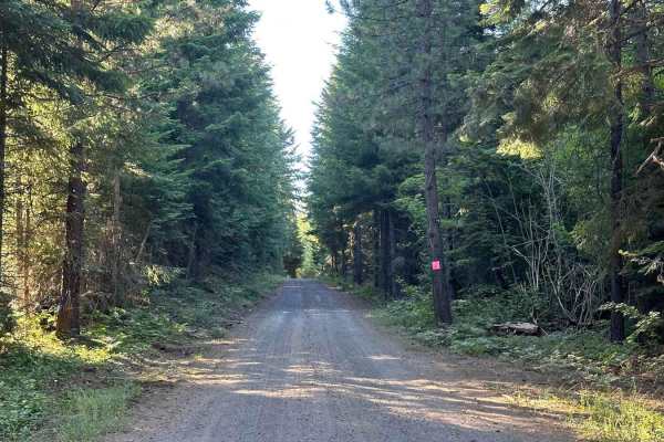Lower Buck Creek N713