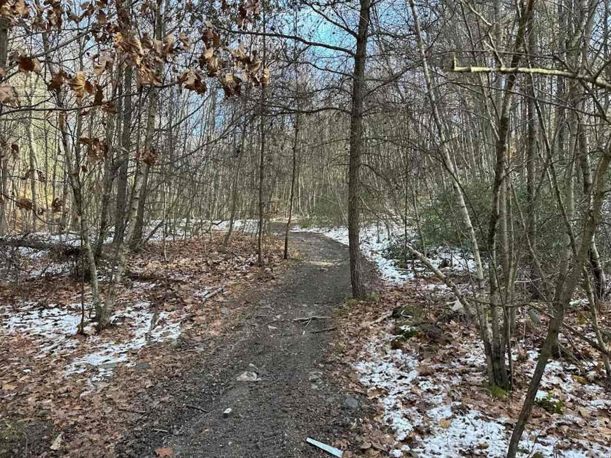 Locust Gap 81 photo 4