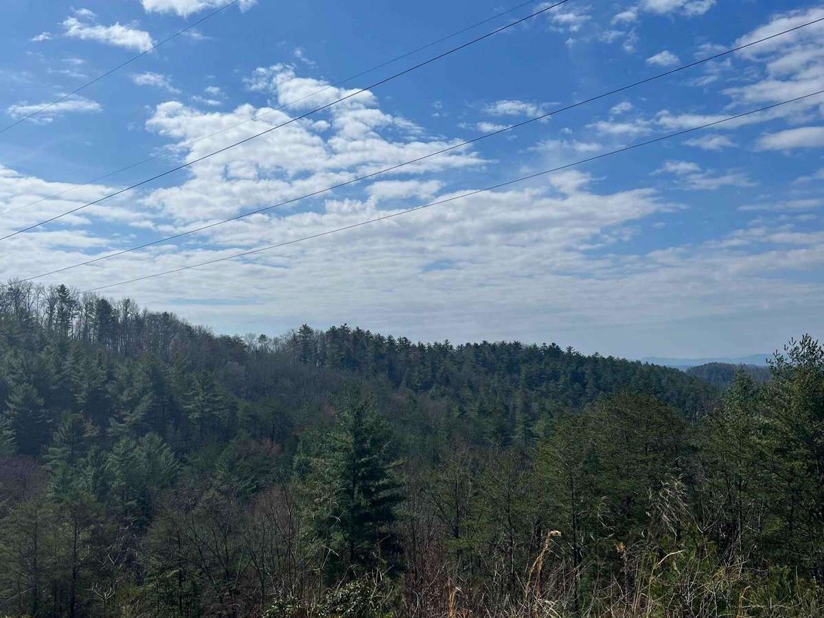 Shuler Creek trail photo