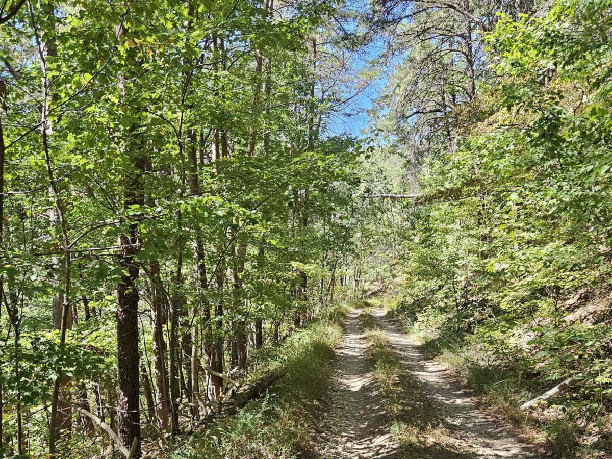 Hidden Creek Road (955-955B) photo 5