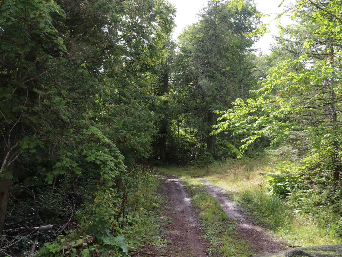 Union Creek photo 6