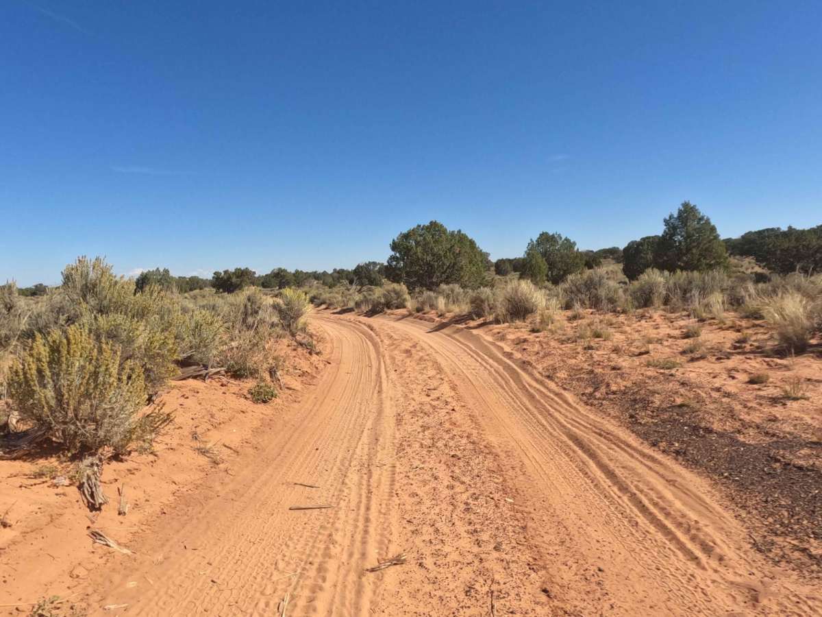 Red Pockets Road & Poverty Cabin (1081) photo 6