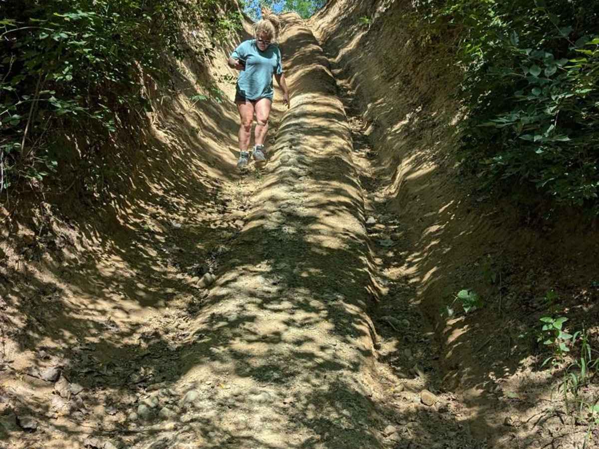 Chicken Hill photo 4