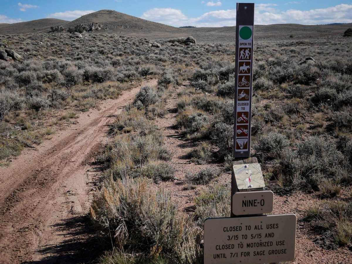 9-0 trail photo
