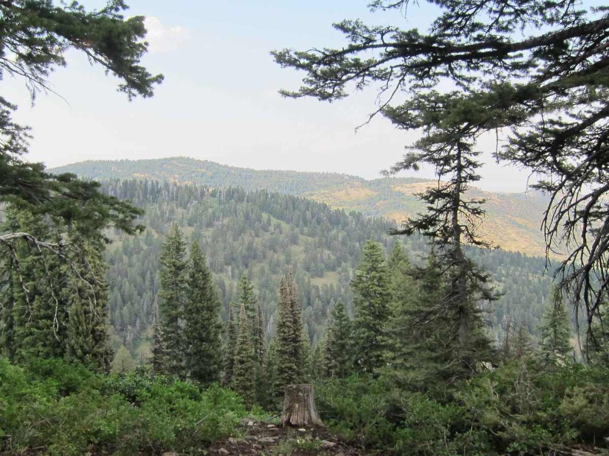 Church Hollow Trail photo 6