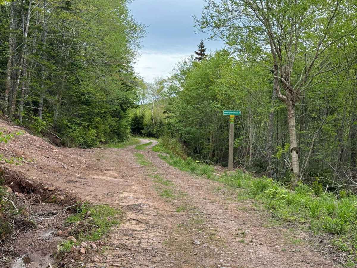 Pipers Glen Road photo 5