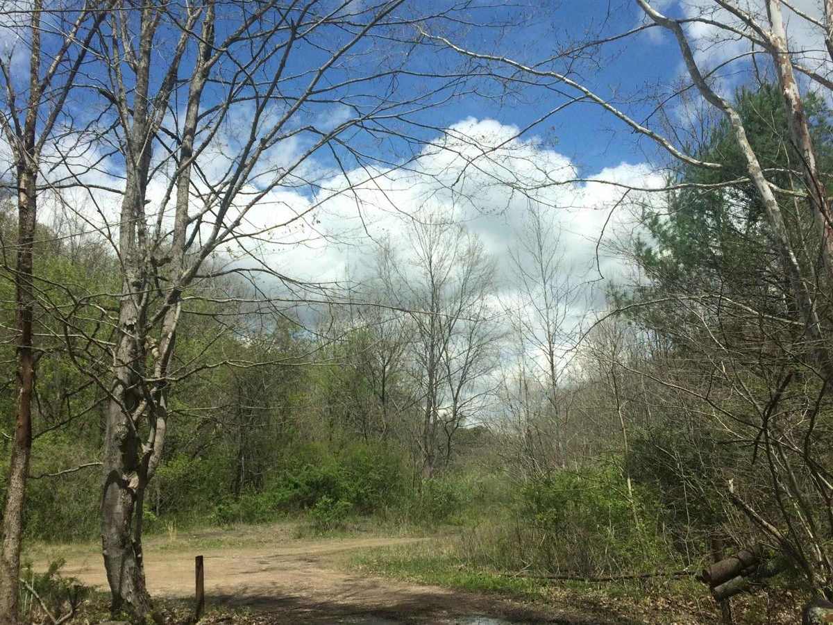 Bethel photo 4