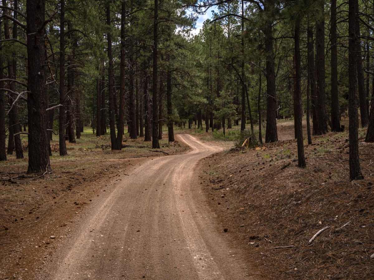 FR76 photo 6