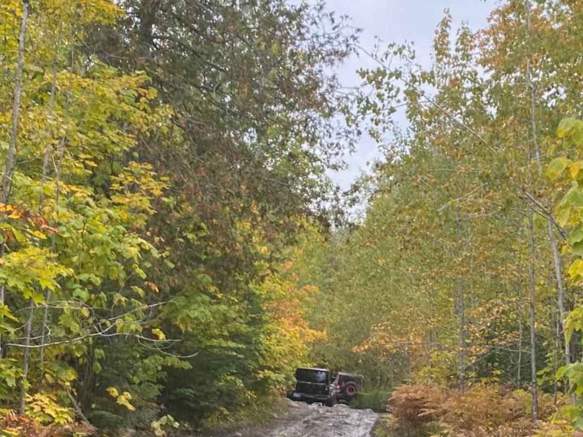 Jeep Route 9995183 photo 2
