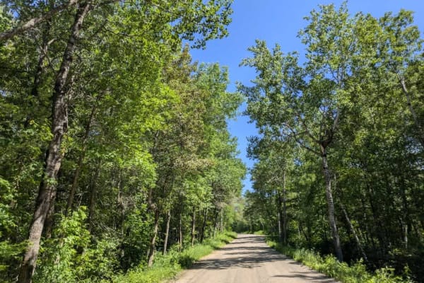 County Road 125 Northeast