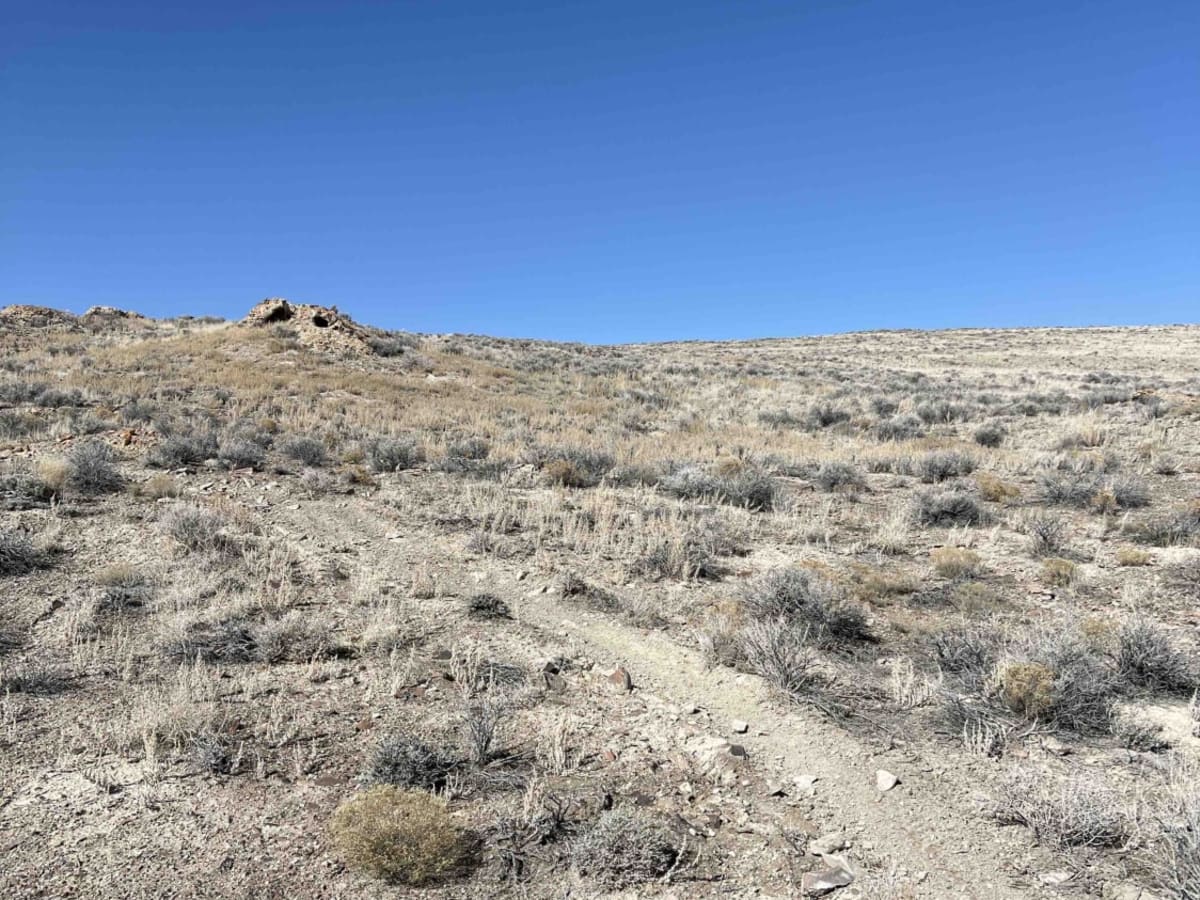 Basin Twister photo 3