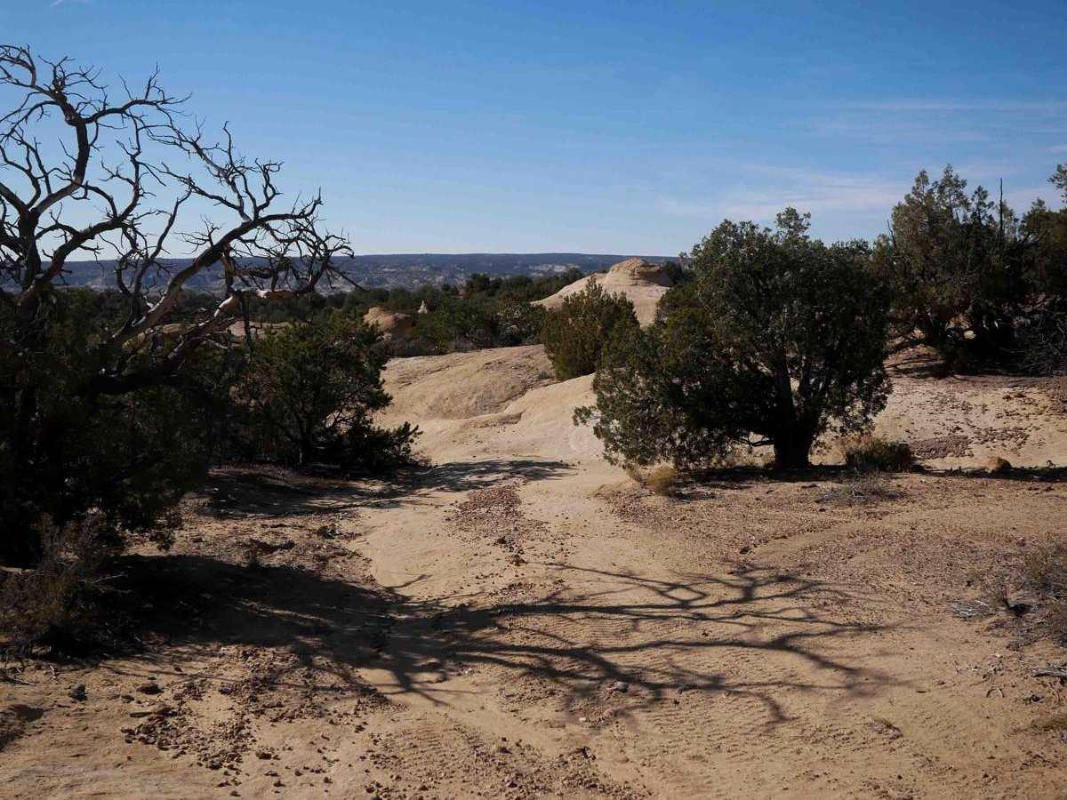 Hidden Trail photo 5