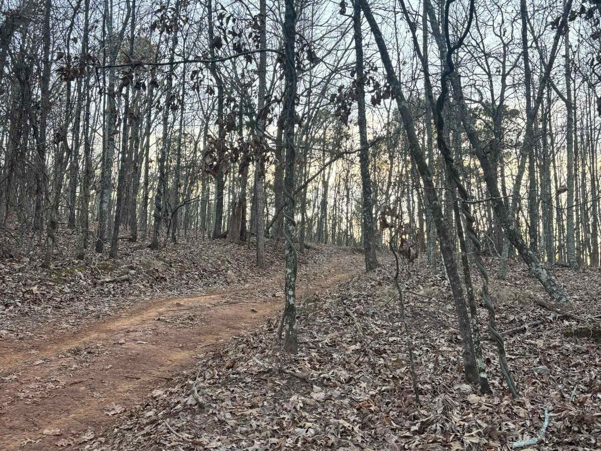 33B trail photo