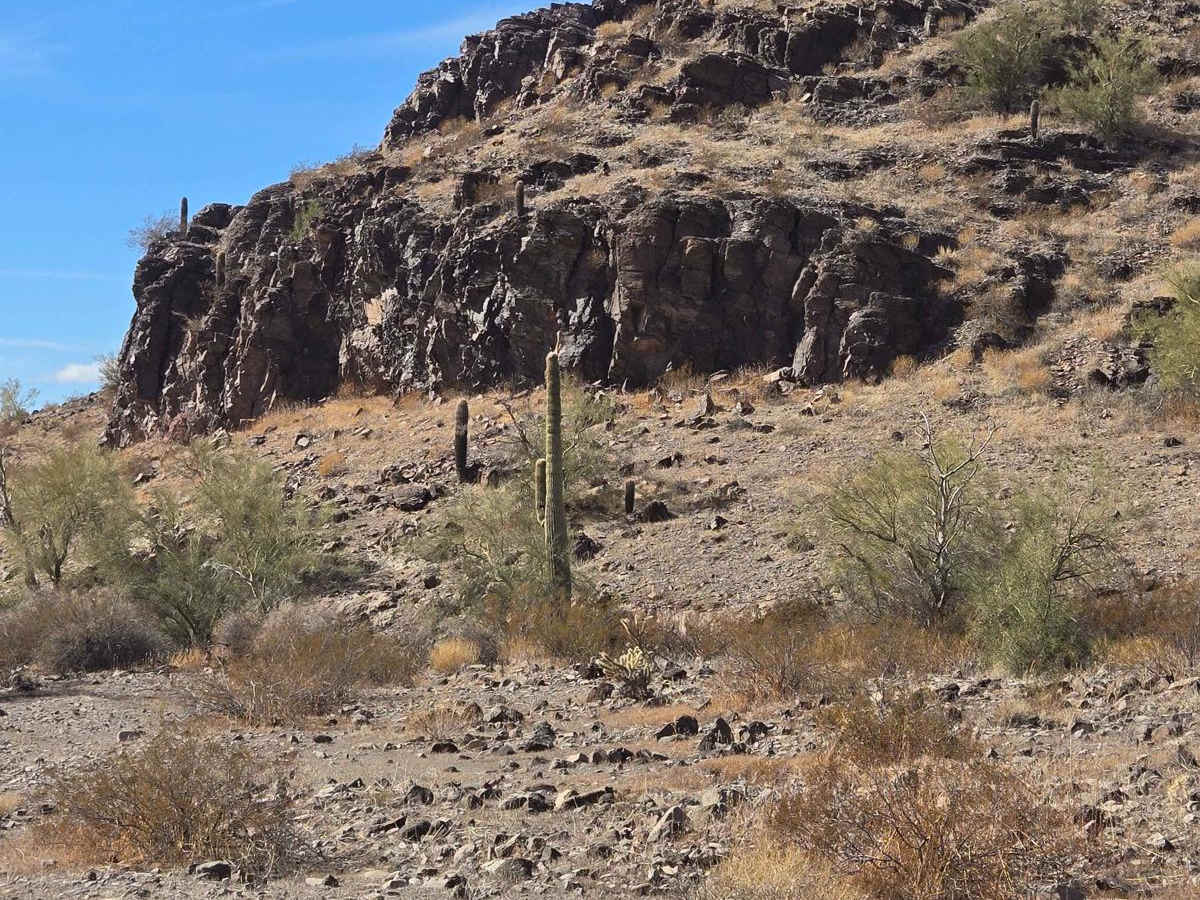 Washy Trail photo 2