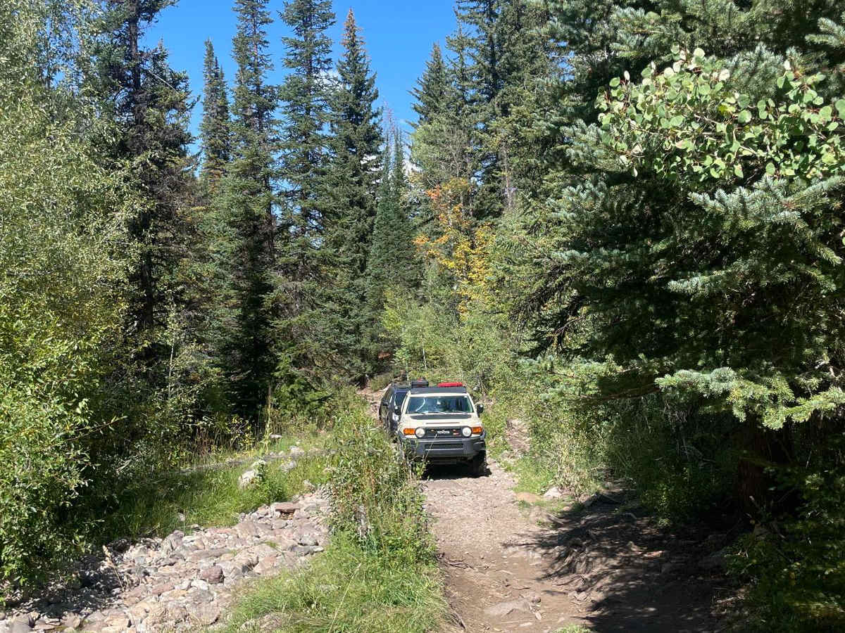South Fork Weber - FR 031 photo 4