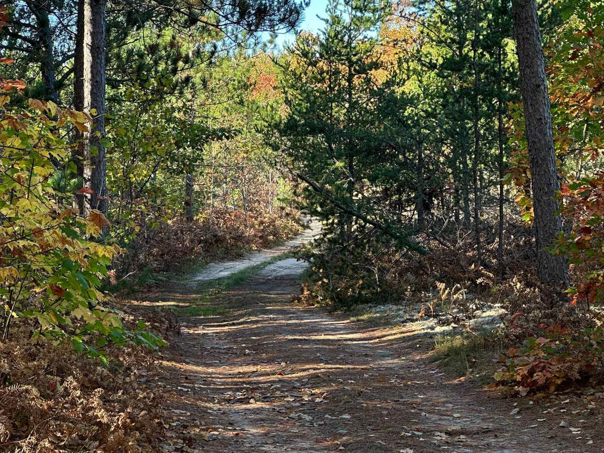 FS 2532 trail photo