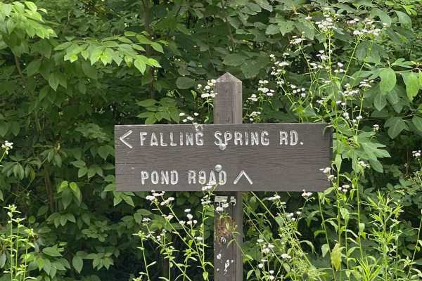 Pond Road