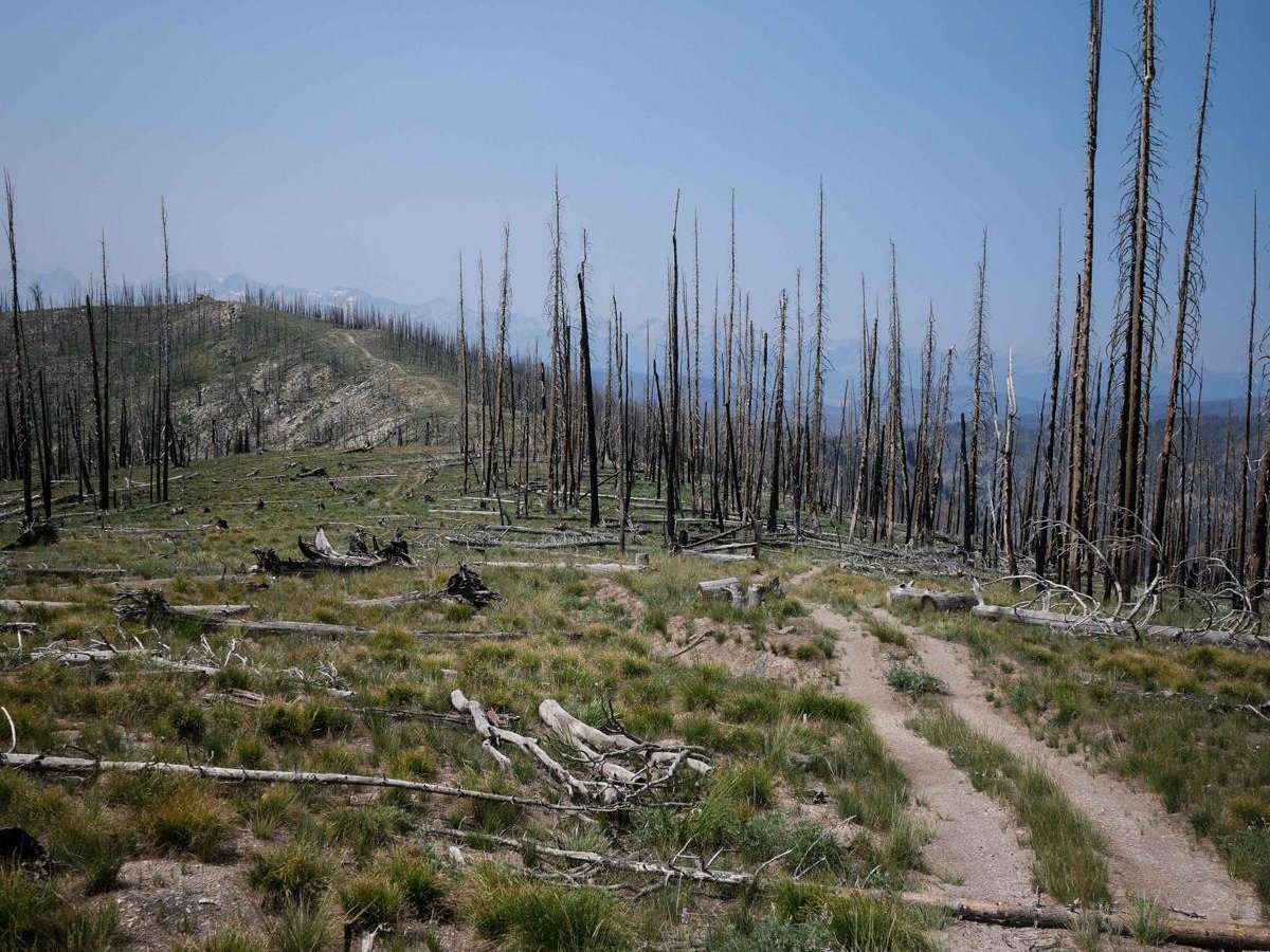 Upper Harden Creek ATV photo 5